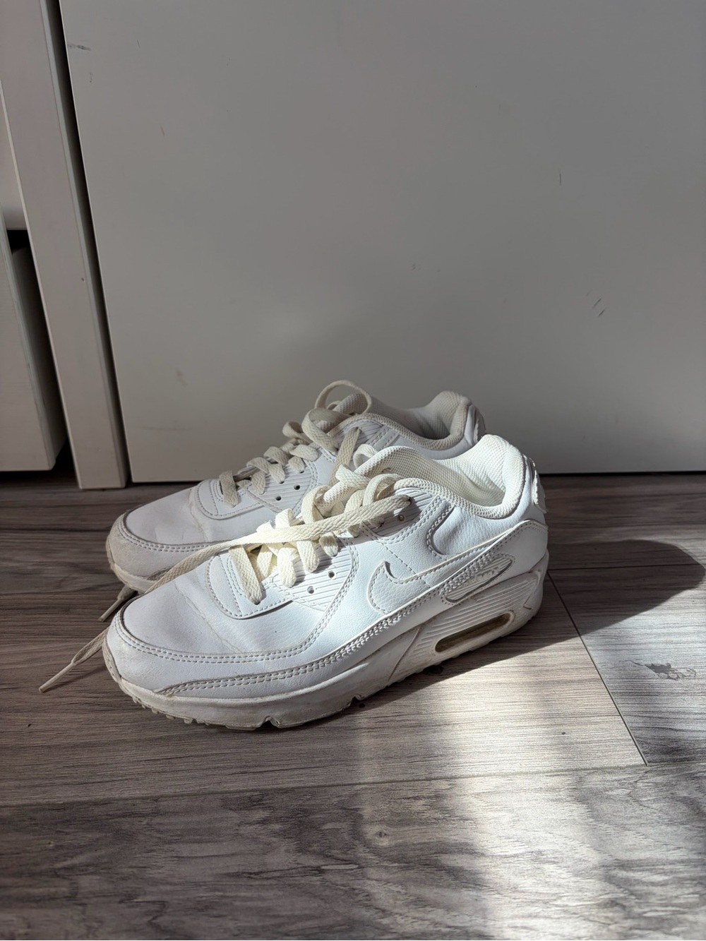 Nike Air Max Sneakers